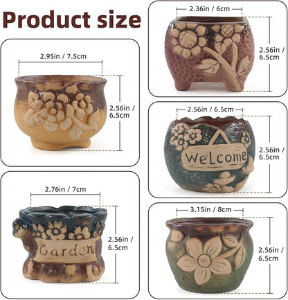 Succulent Ceramic Garden Pots Small Plant Planter Container with Drainage Set of 5 for Home Office Decor