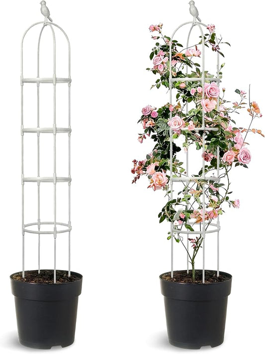 2 Pack Trellis for Climbing Planting Outdoor, 6ft Plant Trellis-Rustproof Metal Pipe with Heavy Duty Plastic Coated, Potted Plant Support for Clematis Vine Jasmine Support (White, 2 Pack)