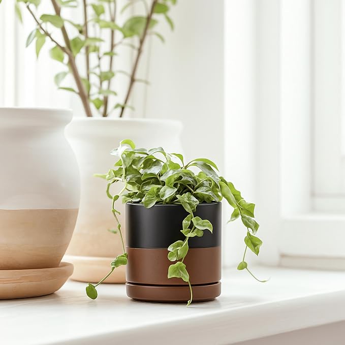 D'vine Dev 3.5 Inch Ceramic Planter Pot with Drainage Hole and Saucer, Indoor Cylinder Round Planter Pot, Black/Speckled Tan, 94-O-A-7