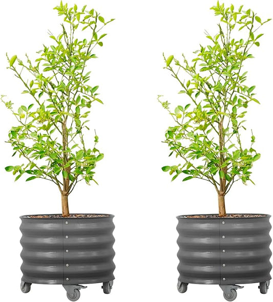 Rolling Metal Citrus Tree Planter Pot, 21″ Round Planter Box for Porch Patio & Backyard, 20 Gallon Large Planter Pot with Wheels for Growing Olive Trees Tomatoes Vegetables Flowers, 2 Pack Modern Gray