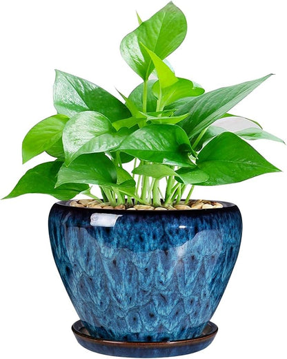 Unijoy 6 Inch Ceramic Plant Pot - Modern Indoor Planter with Drainage & Saucer - Round Flower Pot for Succulents & Outdoor Garden Décor - Gift for Plant Lovers