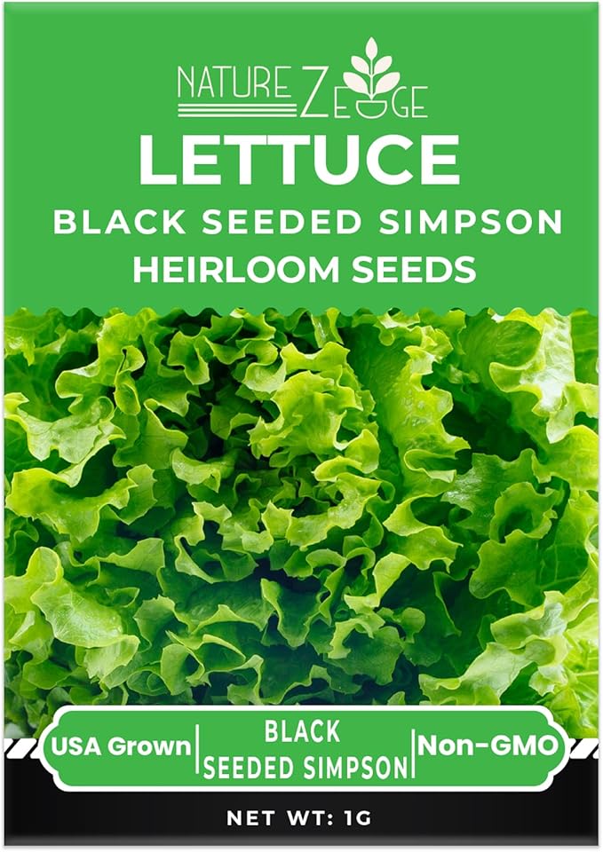 NatureZ Edge Lettuce Seeds for Planting, 4 Popular Varieties Non-GMO Heirloom Seeds, Red Romaine, Bibb Butter, Black Seeded Simpson, Green Ice Lettuce, Romaine, Salad Lettuce, Hydroponic Garden, USA