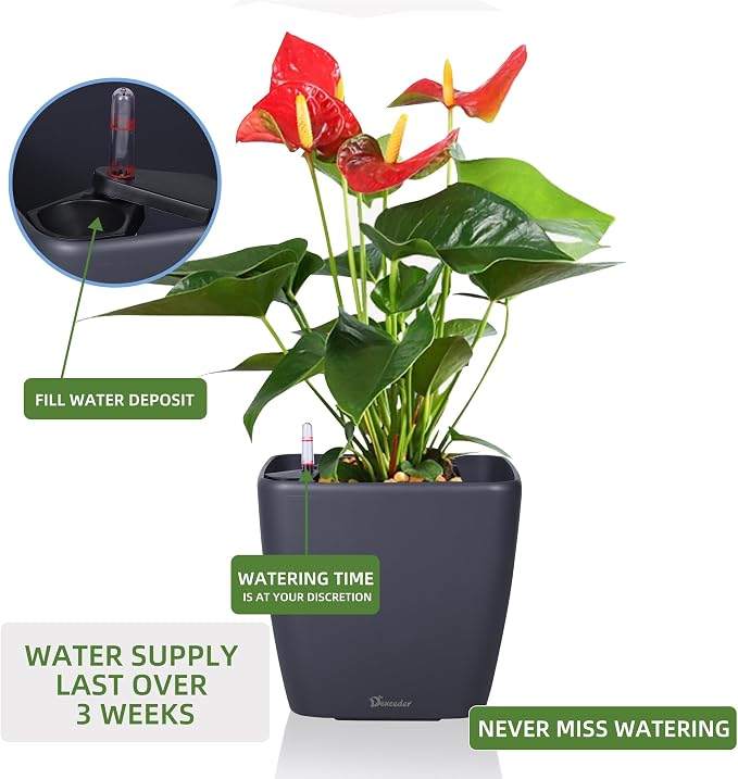Dexceder 9x8 Self Watering Planter (Slate Gray Matte) | Inner Mat Design, Thickened Table Flower Plant Pot with Water Level Indicator Indoor Outdoor