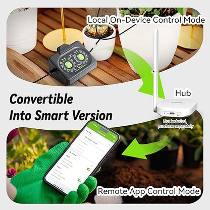 RAINPOINT Programmable Solar Drip Irrigation System for Indoor Houseplant Support Up to 15 Plants, Compact Vacation Automatic Plant Waterer Self Watering Device While Away Low Water Auto Shut-Off