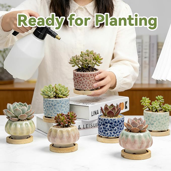 8 Pcs Succulent Pots with Ice Crack Glaze, 2 Shapes & 8 Colors Ceramic Succulent Planters with Drainage Holes & Bamboo Saucers, Indoor Plant Pots for Home Garden，Desk Decor, Office Decor, Gift Idea