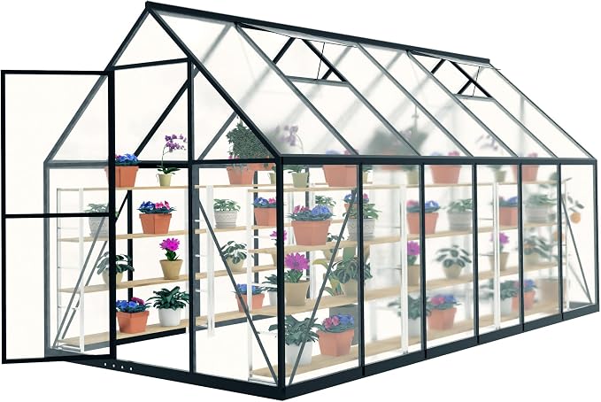 6x12FT Small Greenhouse for Outdoors,Polycarbonate Green House with 2Windows, Outside Mini Garden House Kit for Winter,Portable Indoor Greenhouses can Walk in