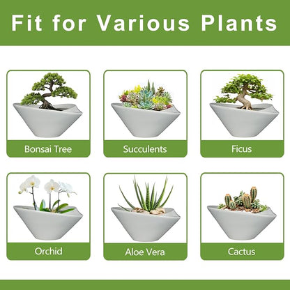 Bonsai Pots 13 Inch - Ceramic Succulent Pots with Drainage Hole Decorative Plant Pot Indoor Large Outdoor Planter Modern Flower Pot for Home Garden Office Room Decor Gray