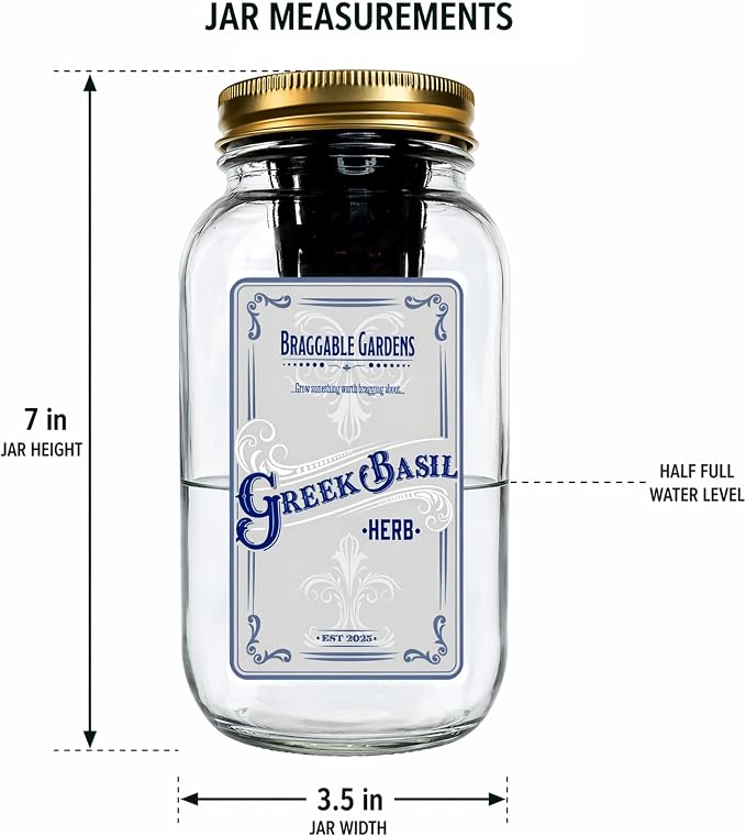 Greek Basil Indoor Herb Garden Kit – Mason Jar Hydroponic Grow Kit – Windowsill Countertop Basil Planter – Grow Fresh Basil Indoors