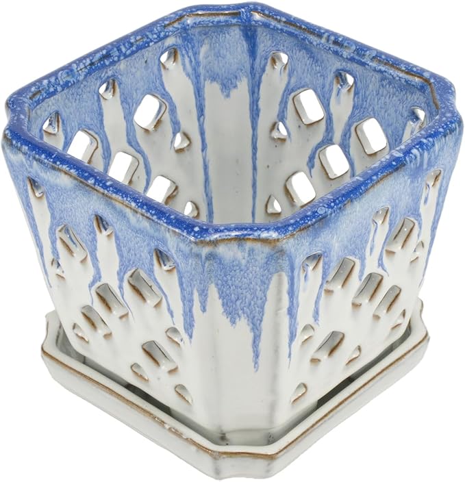 W&W Orchid Pot with Holes and Saucer for Repotting and Better Grow, Blue and White, 7"