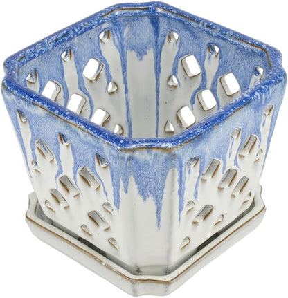 W&W Orchid Pot with Holes and Saucer for Repotting and Better Grow, Blue and White, 7"