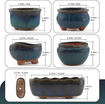 Ceramic Succulent Garden Pots Small Plant Planter Container with Drainage Set of 5 for Home Office Decor