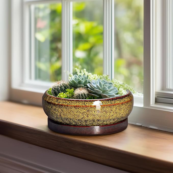 Succulent Planters 8 Inch - Ceramic Bonsai Pots with Drainage Hole and Tray, Shallow Plant Pot Indoor Outdoor, Round Succulent Pots, Planter Bowl, Porch Decor, Housewarming Gifts, Yellow