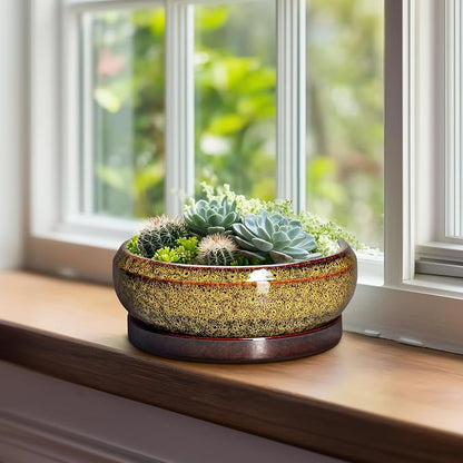 Succulent Planters 8 Inch - Ceramic Bonsai Pots with Drainage Hole and Tray, Shallow Plant Pot Indoor Outdoor, Round Succulent Pots, Planter Bowl, Porch Decor, Housewarming Gifts, Yellow