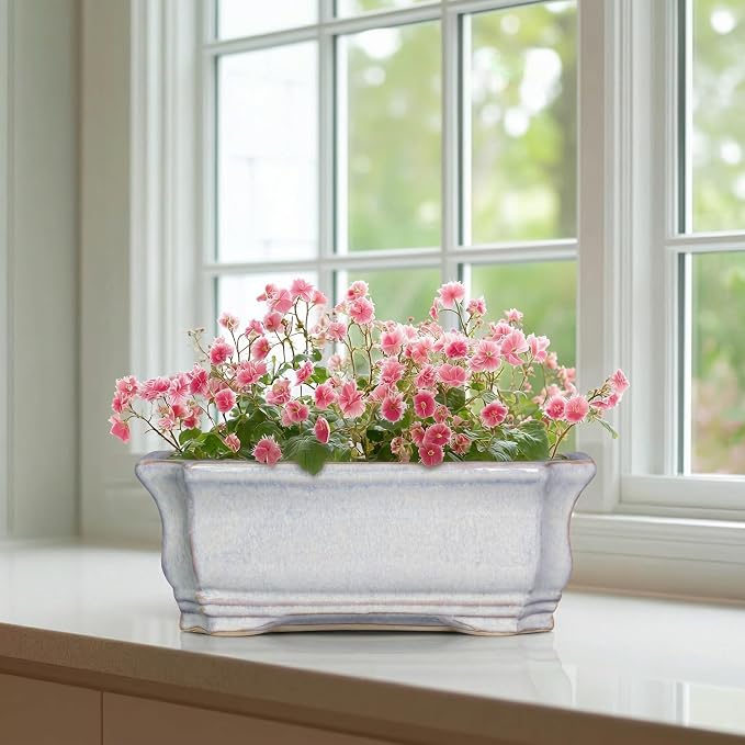 Ceramic Bonsai Planter - 11.6 Inch Bonsai Tree Pots for Succulent Plants, Succulent Planters with Drainage Hole, Shallow Decorative Planter, House Decor, House Warming Gifts, Rectangular Grey