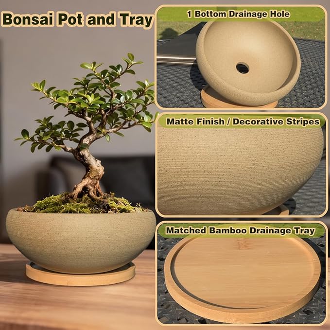 MUZHI 6 inch Succulent Pot - Unglazed Ceramic Bonsai Pot with Bamboo Tray, Rustic Pottery Cactus Planter with Drainage Hole Indoor Outdoor