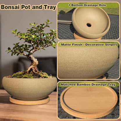 MUZHI 6 inch Succulent Pot - Unglazed Ceramic Bonsai Pot with Bamboo Tray, Rustic Pottery Cactus Planter with Drainage Hole Indoor Outdoor