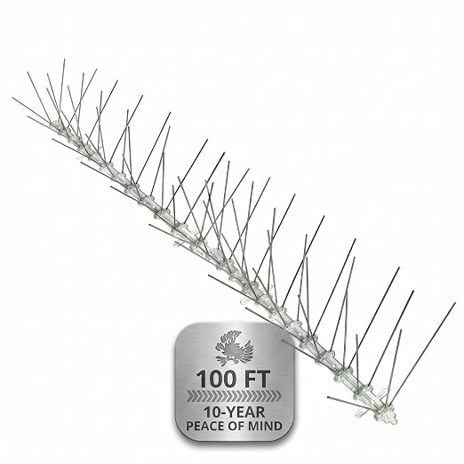 Bird-X Stainless Bird Spikes 8-Inch Extra-Wide, 2 Ft Strips, 100 Feet | Stainless Steel, Flexible Polycarbonate, Pigeons and Sparrows, Outdoor Areas