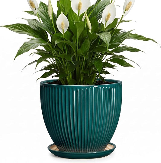Ceramic Planter, 8 Inch Plant Pots with Drainage Hole and Saucer, Round Flower Pots for Indoor Plants, Modern Decorative Pot for Plants, Bathroom Decor, Gifts for Plant Lovers, Blackish Green