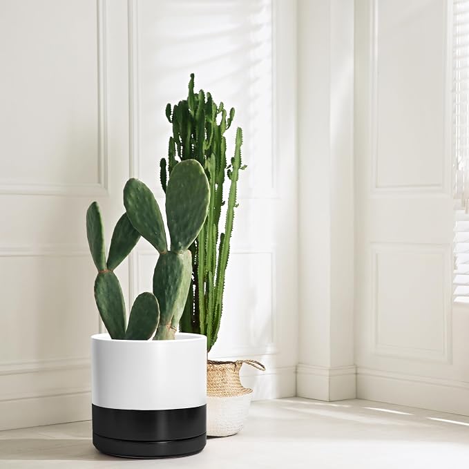 D'vine Dev 12 Inch Ceramic Planter Pot, Black White Two Tone, 94-O-F-L | Modern Cylinder Design, Drainage Hole & Saucer Included, Stable Structure, Elegant Home Accent