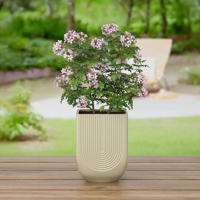 Ceramic Planter, 6 Inch Plant Pot with Drainage, Ivory | Indoor Outdoor Use, Flower Pot for Plants, Home Garden Decor, Lightweight Durable Ceramic