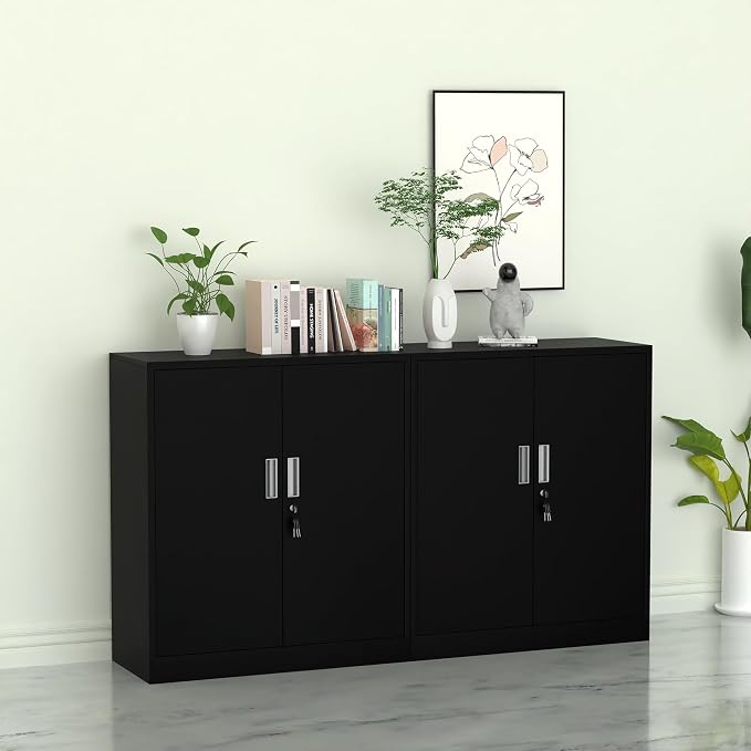 Metal Storage Cabinet with Locking Doors and 2 Adjustable Shelves, Small Lockable Steel Storage Cabinets for Home Office Garage Kitchen Pantry (Black)