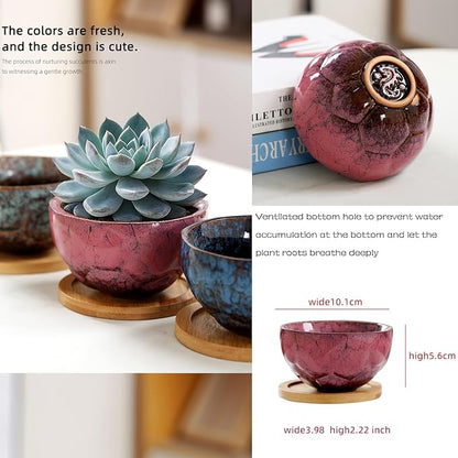 YYW Ceramic Succulent Planter, 4 Pack Cute Garden Pots with Drainage and Attached Saucer