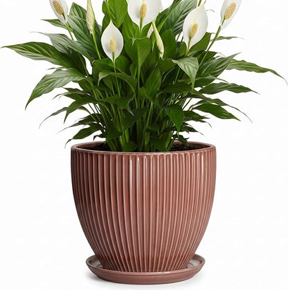 8 Inch Ceramic Flower Pots, Plant Pots Indoor with Drainage Hole and Saucer, Round Flower Pot for Indoor Plants, Decorative Modern Planter, Garden House Decor, Gardening Gifts, Rust Red