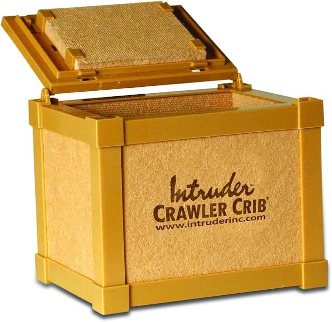 INTRUDER NightCrawler Worm Bait Box, Keeps Bait Fresh, Packed with Good N' Lively Worm Bedding, 8-inch x 6-inch x 7-inch