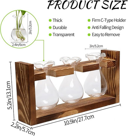 Plant Propagation Station Plant Terrarium Unique Birthday Gifts for Women | Plant Lovers Home Office Decor Planter with Wooden Stand - 3 Bulb Glass Vase