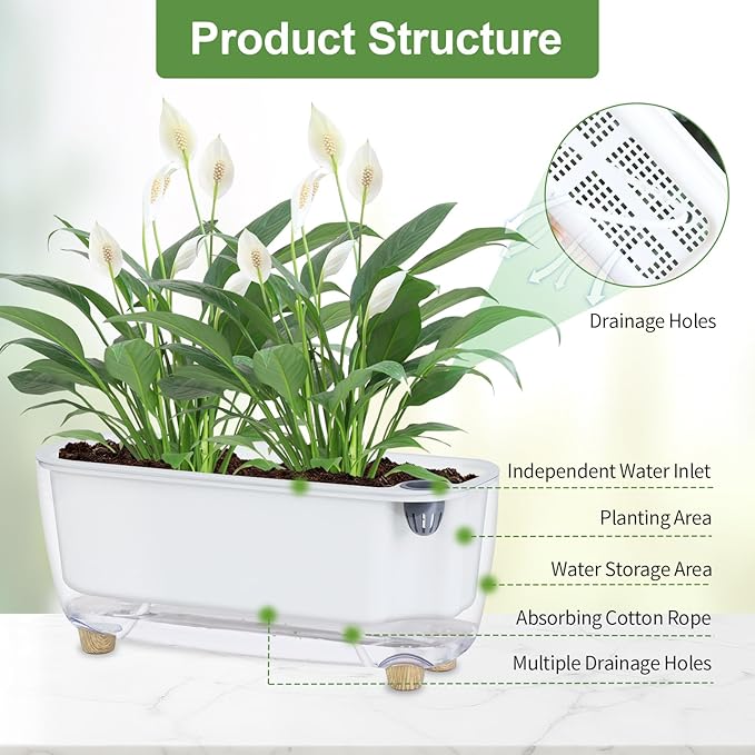 Oliz Self-Watering Planter with Coco Coir, Clear Modern Rectangular Pot | 11.8 * 4.6 inch, Decorative Flower Pot for Indoor Plants, Windowsill Plant Pot with Drainage Holes, African Violets Pots