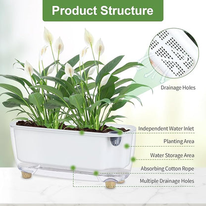 Oliz Self-Watering Planter with Coco Coir, Clear Modern Rectangular Pot | 11.8 * 4.6 inch, Decorative Flower Pot for Indoor Plants, Windowsill Plant Pot with Drainage Holes, African Violets Pots