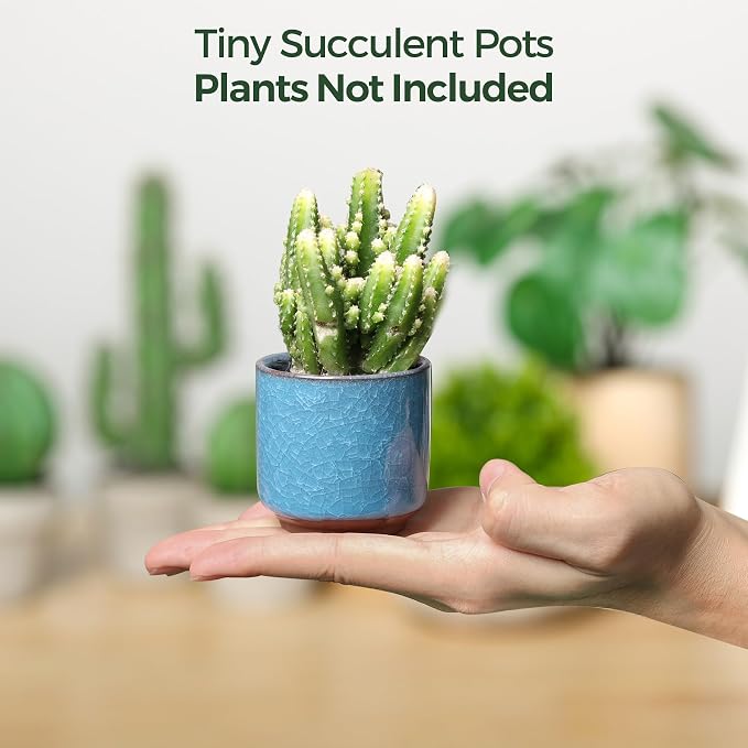 T4U 2.5 Inch Small Ceramic Succulent Planter Pot with Drainage Hole Set of 12, Ice Crack Glaze Plant Container for Cactus, Plant Lover Gifts for Women Mom Coworker Home Office Decor
