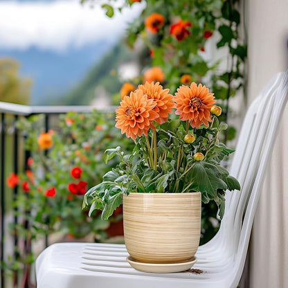 Ceramic Plant Pot 5 Inch - Modern Round Succulent Planter for Indoor Plants with Drainage Hole and Saucer, Office Home Room House Decor, Yellow