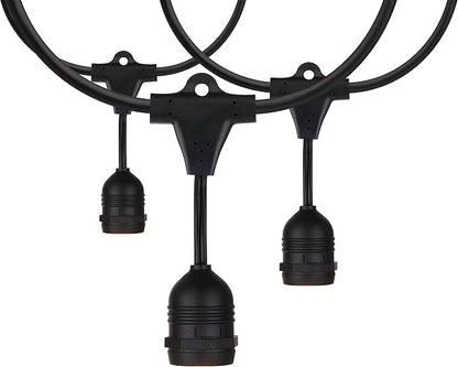Satco S8039 Incandescent Indoor/Outdoor String Lights, Black, Bulbs Not Included, 24 Feet (Pack of 1)