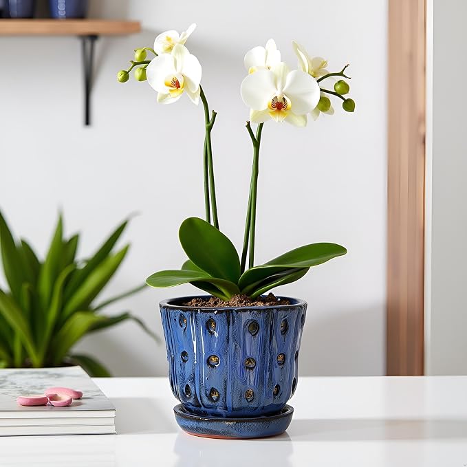 Orchid Pots 4.9 inch Round Ceramic Orchid Pots with Holes Set of 2 (SkyBlue+White with Lemon Green)