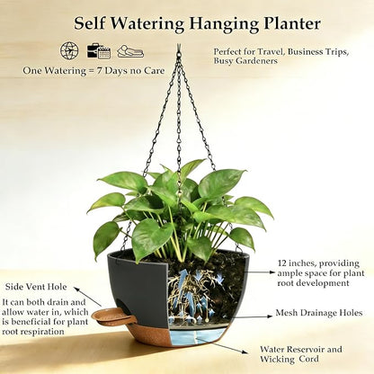 12 Inch Self Watering Hanging Planters 2 Pack, Black Brown | Plastic planters with drainage holes and saucers. Suitable for indoor, outdoor, kitchen, balcony and garden plant decor.