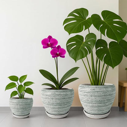 Deep Dream 8 Inch Plant Pots- Ceramic Pots for Plants with Drainage Hole and Saucer, Large Planter Pot for Indoor Plants Outdoor Decor, Brushed Green
