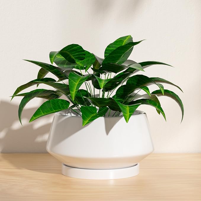 8.3 Inch White Ceramic Planter with Drainage Hole and Saucer | Ideal for Indoor and Outdoor Plants, Modern Home Decor, Round, Gloss White