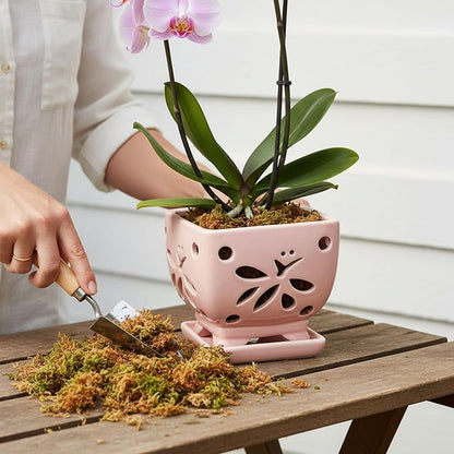 Orchid Pots with Holes Square Ceramic Orchid Planter Pots 5.5 inch (Pink)