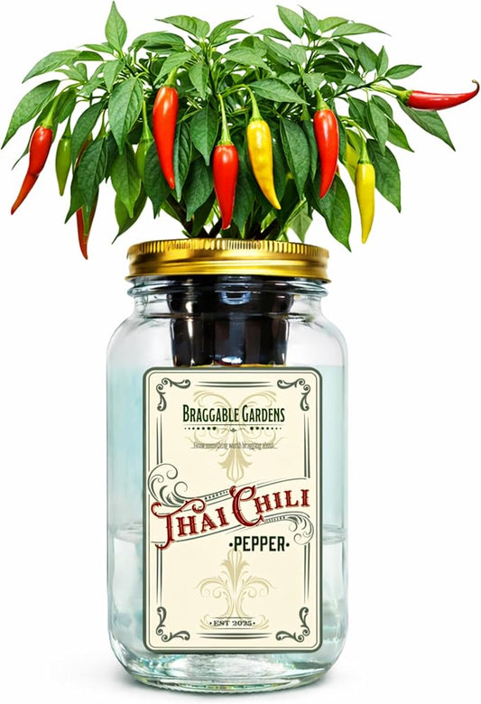 Mason Jar Hydroponic Thai Chili Pepper Grow Kit – Indoor Countertop Garden – Grow Fresh Spicy Peppers at Home – Self Watering Jar Planter with Nutrients & Seeds