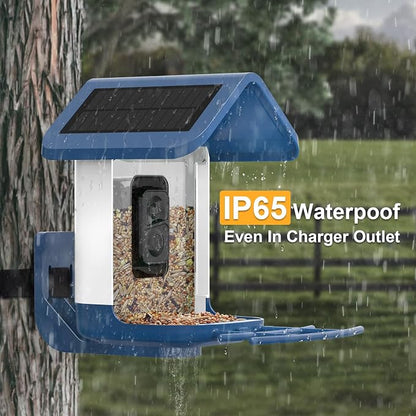 Bird Feeder with Camera Solar Powered : Smart Camera Bird Feeder 2K Live Feed Cam for Outdoor Backyard - Ai Identify Auto Capture Videos Pictures, Gifts for Birdlover Mom Dad, 2.6GHz WiFi