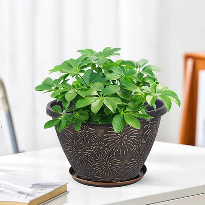 Nooulap 6 Pack 8 Inch Plant Pot, Flower Pots for Indoor Outdoor, Durable Decorative Planters for House Garden Plants Herbs Flowers Succulents, Antique Gold Firework Embossed Design