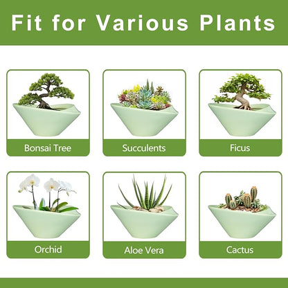 Ceramic Bonsai Pots - Large Succulent Planter 13 Inch Plant Pot Indoor Succulent Pot with Drainage Hole Outdoor Planter Bonsai Tree Pot for House Home Garden Office Decor Green