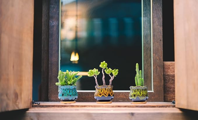 Cute Ceramic Succulent Garden Pots, Planter with Drainage and Attached Saucer, Set of 5 -Plants Not Included (Fambe)