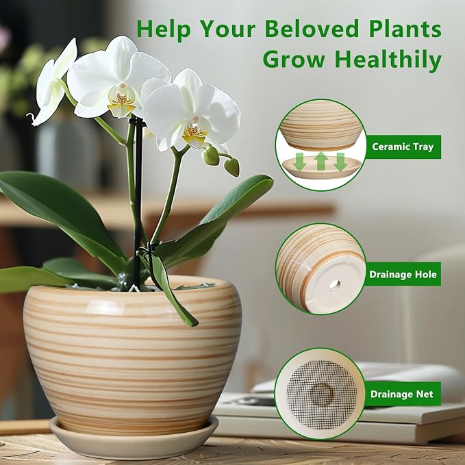 Ceramicfor 6 Inch Plant Pot Ceramic - Decorative Planter for Indoor Plants Succulent Pot with Drainage Hole and Saucer Round Planter Outdoor Flower Pot for House Patio Yellow