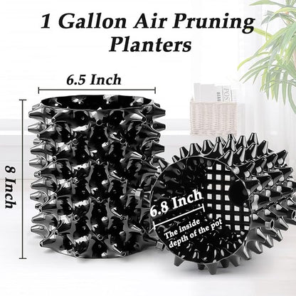 RooTrimmer 1 Gallon Air Pruning Containers, New Plastic Nursery Pots, Fruit Vegetable Garden Self-Planting Pots, Black (1G-10P)
