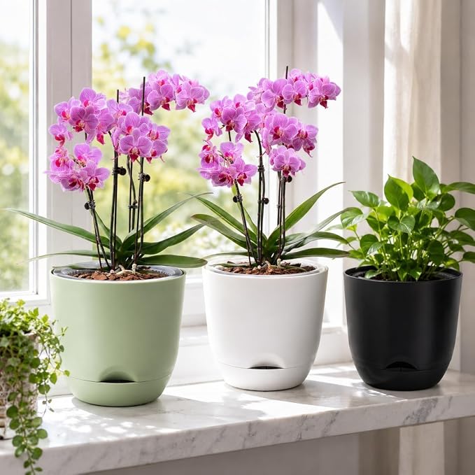 QCQHDU 7.2Inch Orchid Pots with Holes for Repotting, Double-Layer Plastic Self Watering Flower Pots for Indoor Plants with Drainage Holes, Clear Orchid Pot Match Decorative Orchid Container, 3 Packs