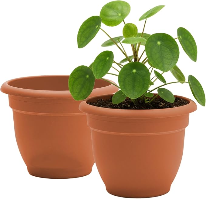 Bloem Ariana 10" Plastic Self-Watering Planter, Terra Cotta, 2-Pack | Self-watering disk at the bottom of each pot that acts as a water wick and reservoir for optimal plant health