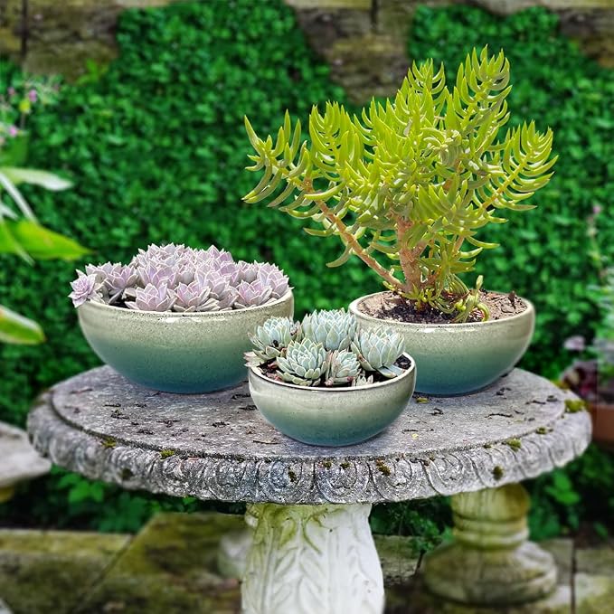 7 Inch Glazed Terracotta Plant Pot Round Ceramic Succulent Planter Pot with Drainage and Mesh Pad Cactus Clay Bonsai Pot (Green)