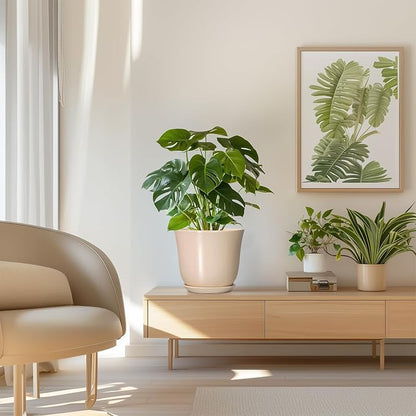 8 Inch Plant Pot - Ceramic Pots for Plants Indoor Outdoor, Round Flower Pots with Drainage Hole and Saucer, Modern Decorative Planters, Home Office Desk Room Decor, Plant Lover Gifts, Beige